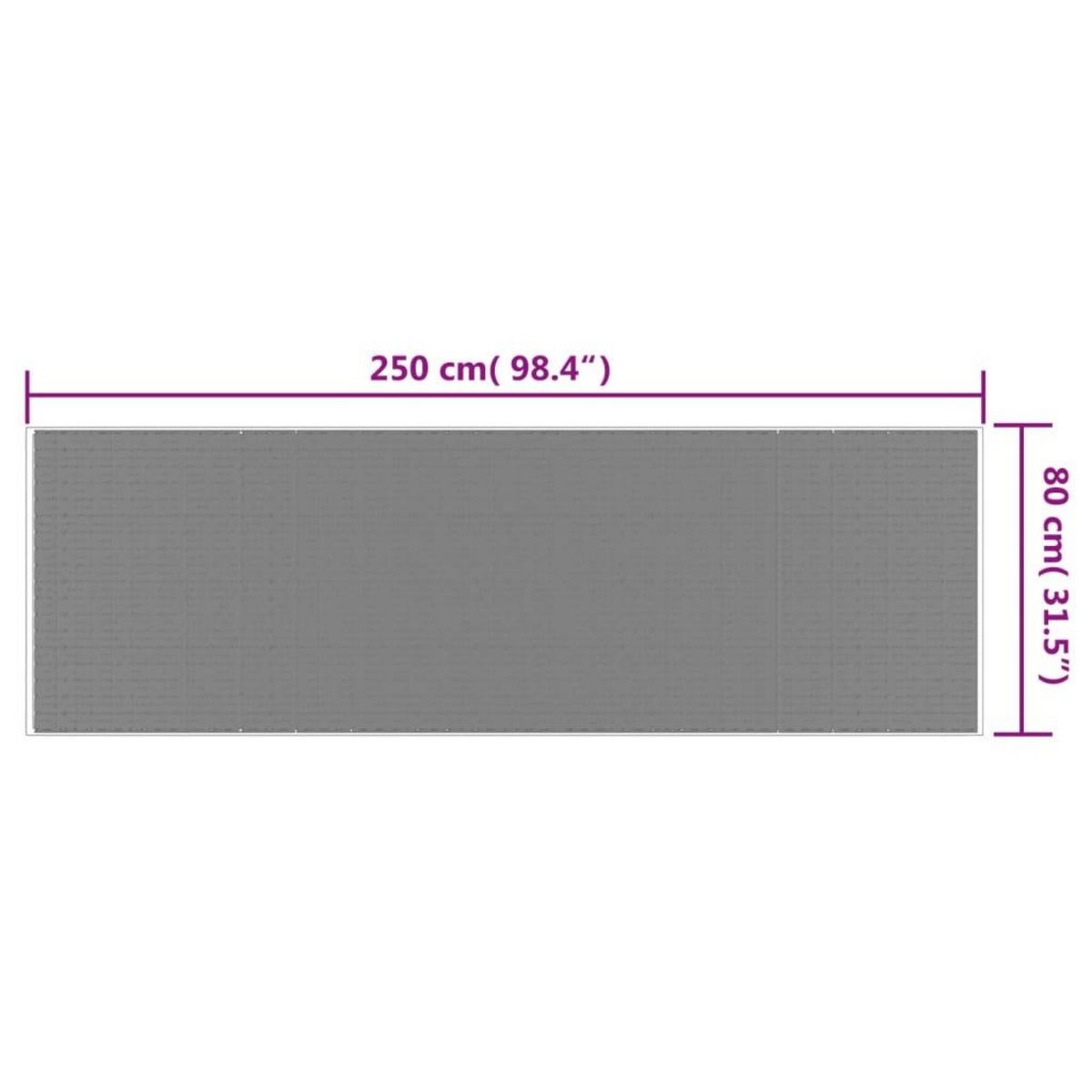 VIDAXL Tapis d'exterieur marron et blanc 80x250 cm design reversible