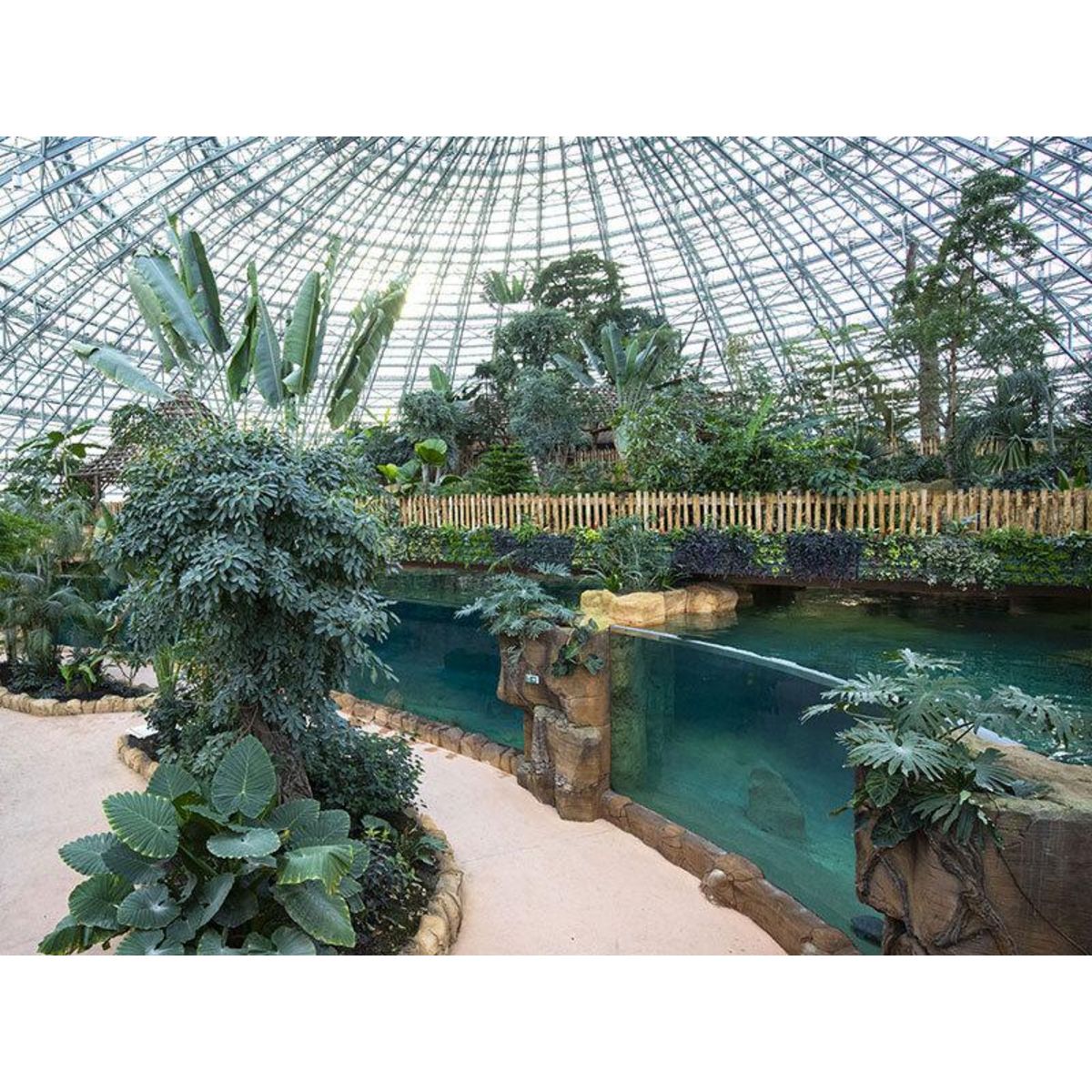 Smartbox Billets pour le ZooParc de Beauval 2025 : 2 entrées adulte pour 1 journée - Coffret Cadeau Multi-thèmes