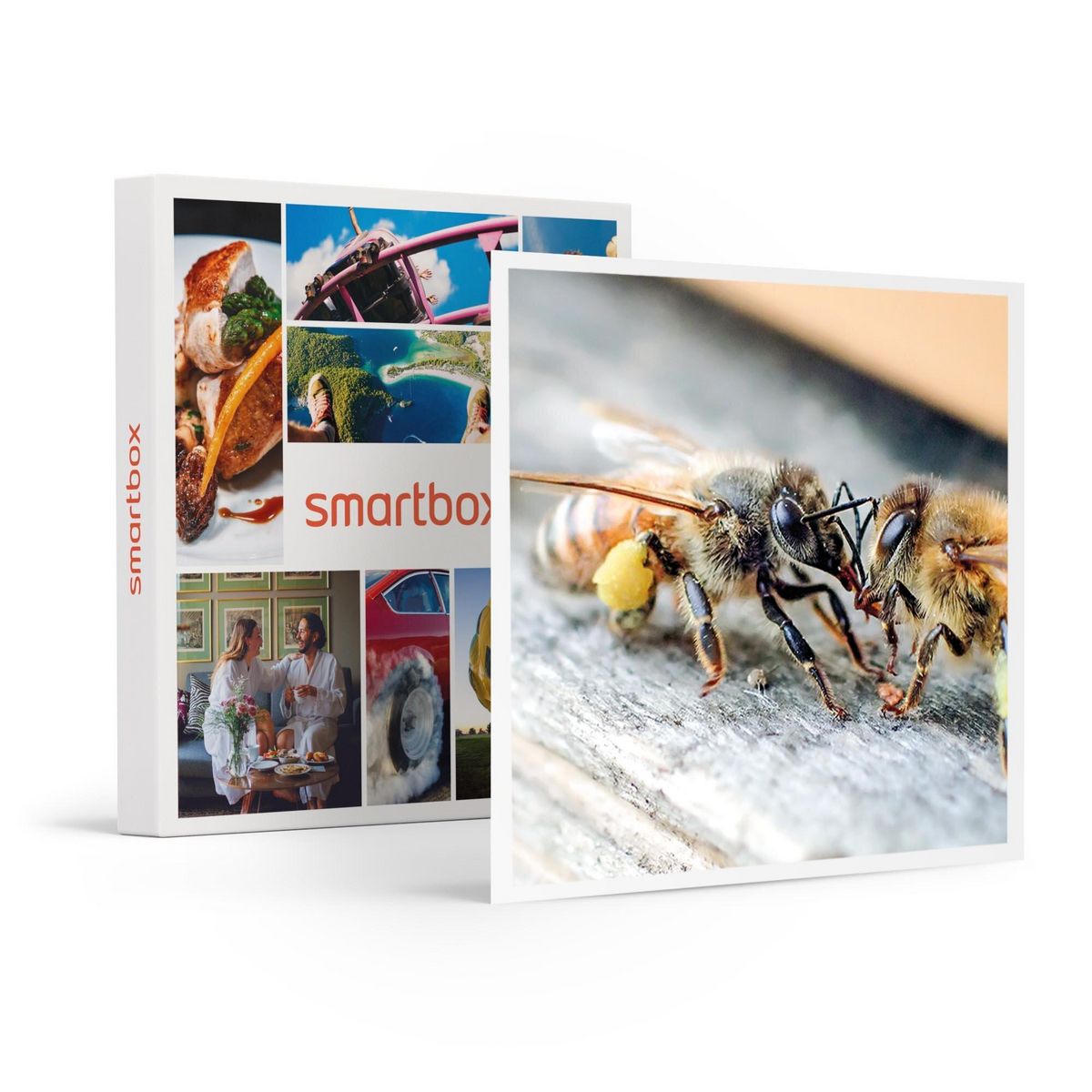 Smartbox Parrainage de ruche et extraction de miel près de Nantes avec produits à ramener chez vous - Coffret Cadeau Gastronomie