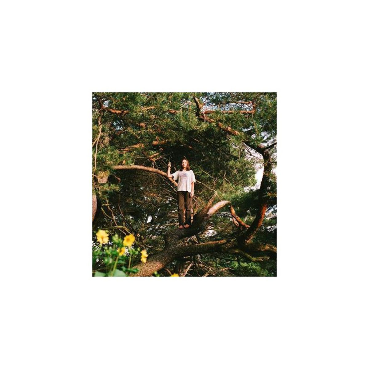 Melt The Honey Vinyle Or