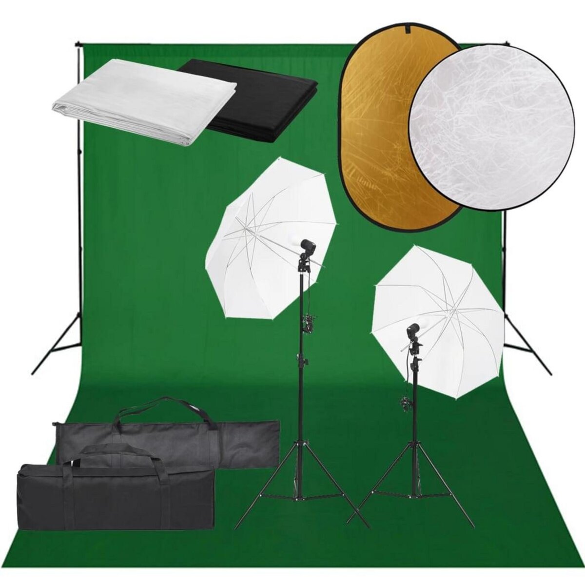 VIDAXL Kit de studio photo avec eclairage toile de fond et reflecteur
