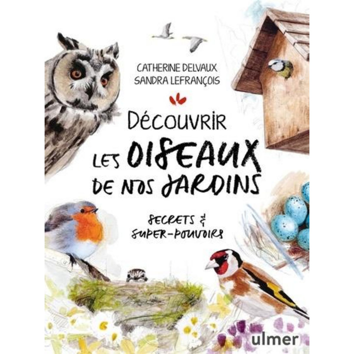 DECOUVRIR LES OISEAUX DE NOS JARDINS. SECRETS & SUPER-POUVOIRS, Delvaux Catherine