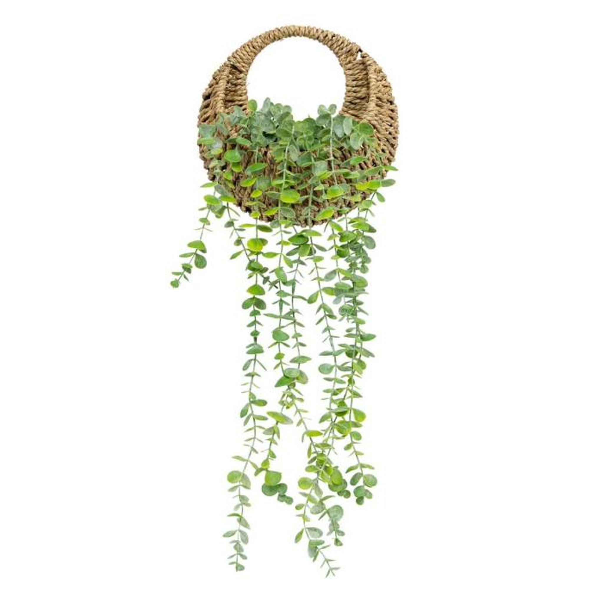 Voir la diapositive 1 : ATMOSPHERA Eucalyptus Artificiel à Suspendre  Zéa  70cm Naturel