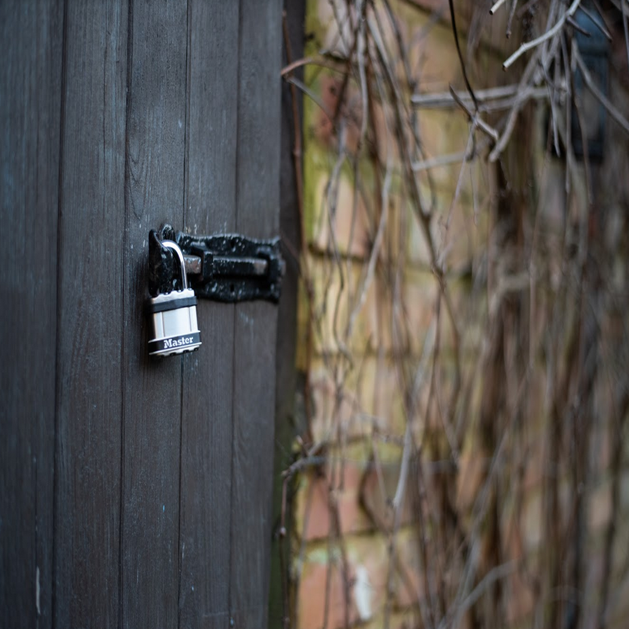 Master lock Cadenas en Acier Laminé Haute Sécurité [Protection en acier inoxydable] M5EURDSTS