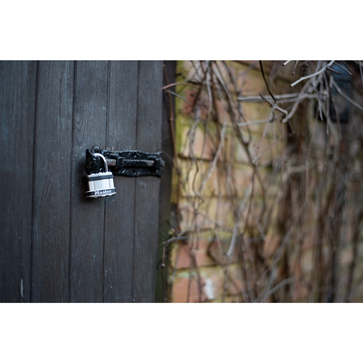 Master lock Cadenas en Acier Laminé Haute Sécurité [Protection en acier inoxydable] M5EURDSTS