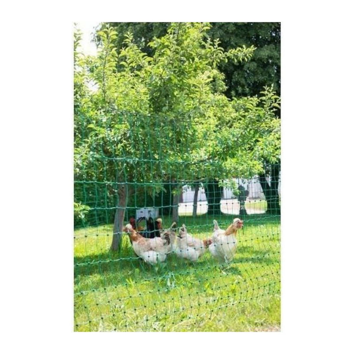 KERBL KERBL Filet pour les poules 50 m - 106 cm - double pointe - vert - non électrique