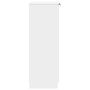 Voir la diapositive 5 : VIDAXL Armoire a chaussures Blanc 59x35x100 cm Bois d'ingenierie