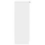 Voir la diapositive 5 : VIDAXL Armoire a chaussures Blanc 59x35x100 cm Bois d'ingenierie