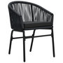 Voir la diapositive 2 : VIDAXL Chaises de jardin lot de 2 Noir Rotin PE
