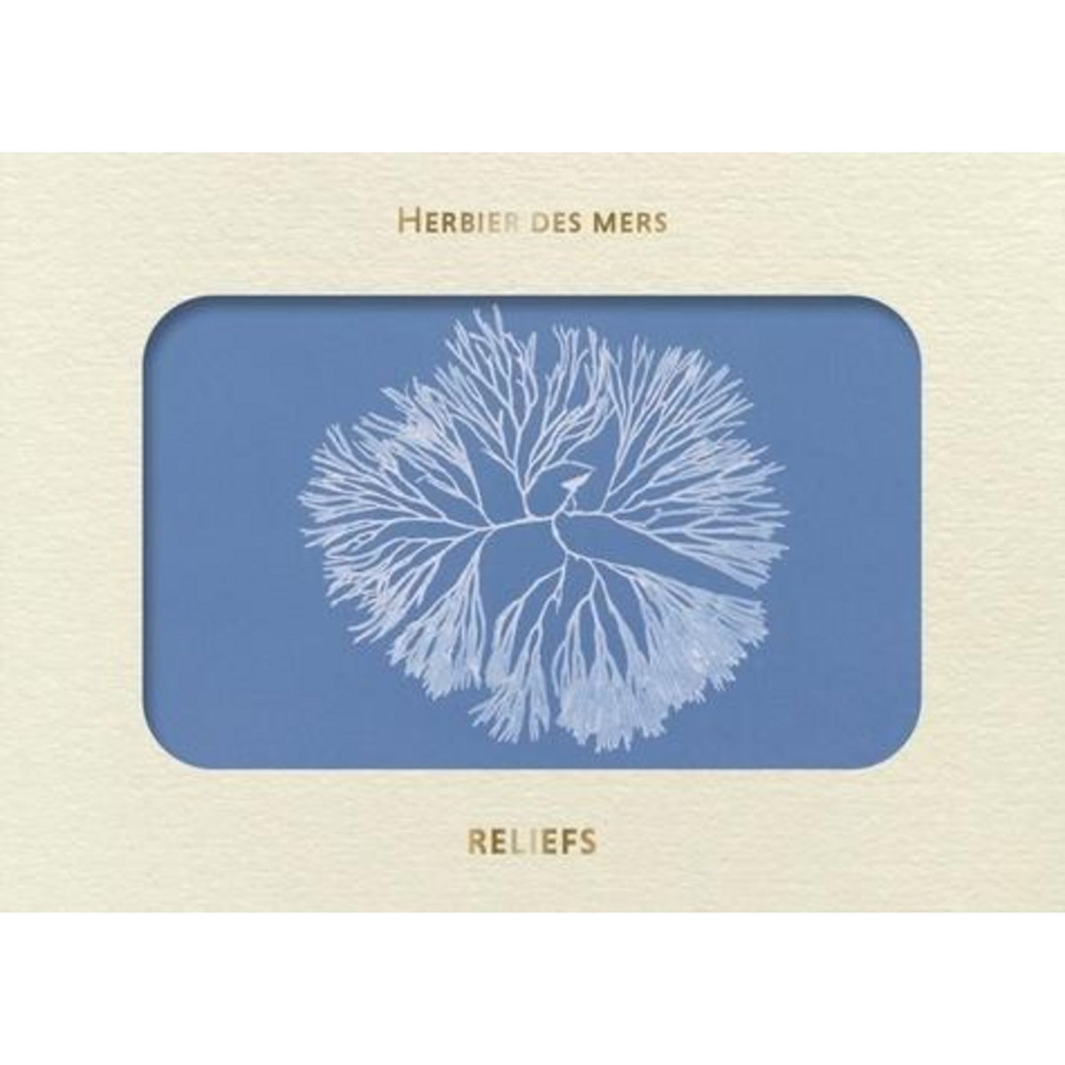 HERBIER DES MERS, Atkins Anna