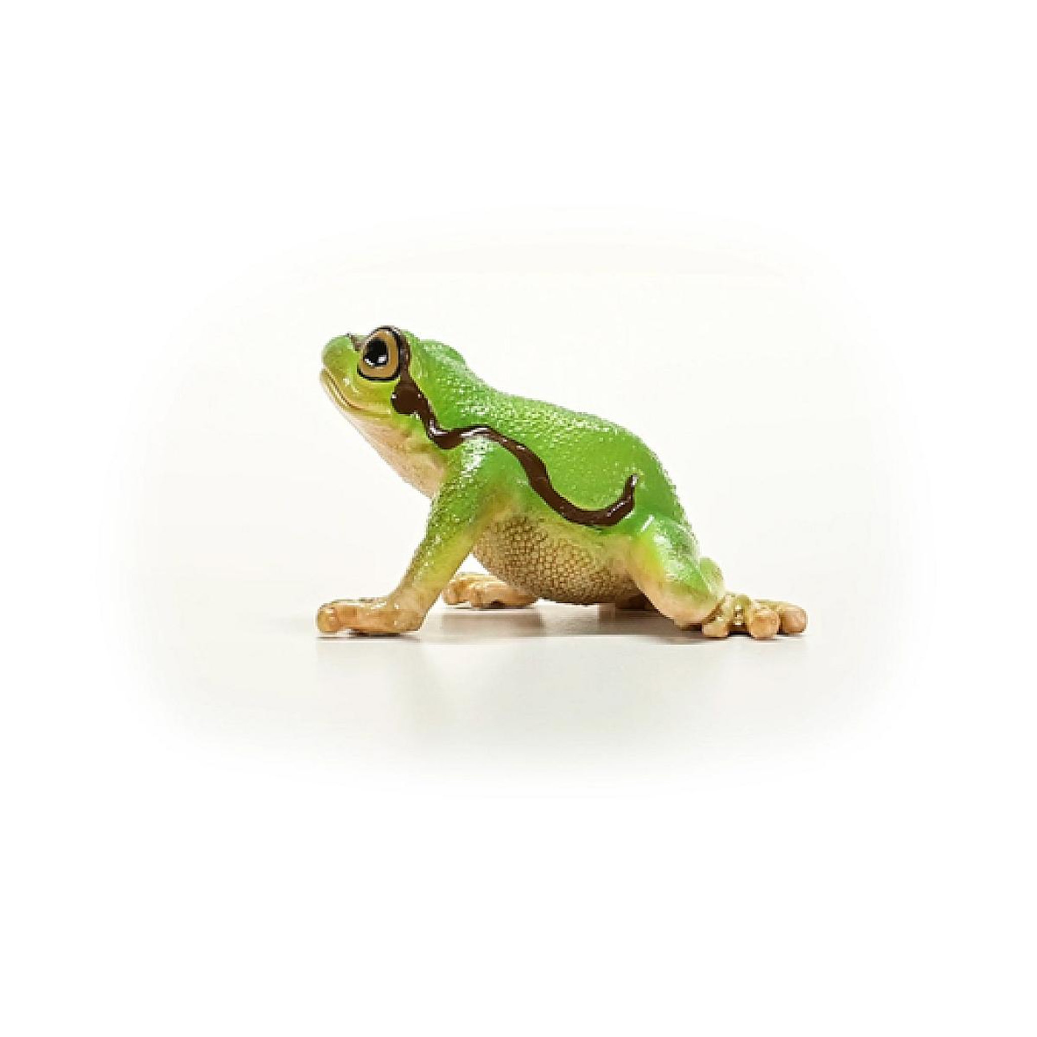 Voir la diapositive 5 : Schleich 14882 figurine Rainette Verte