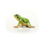 Voir la diapositive 5 : Schleich 14882 figurine Rainette Verte