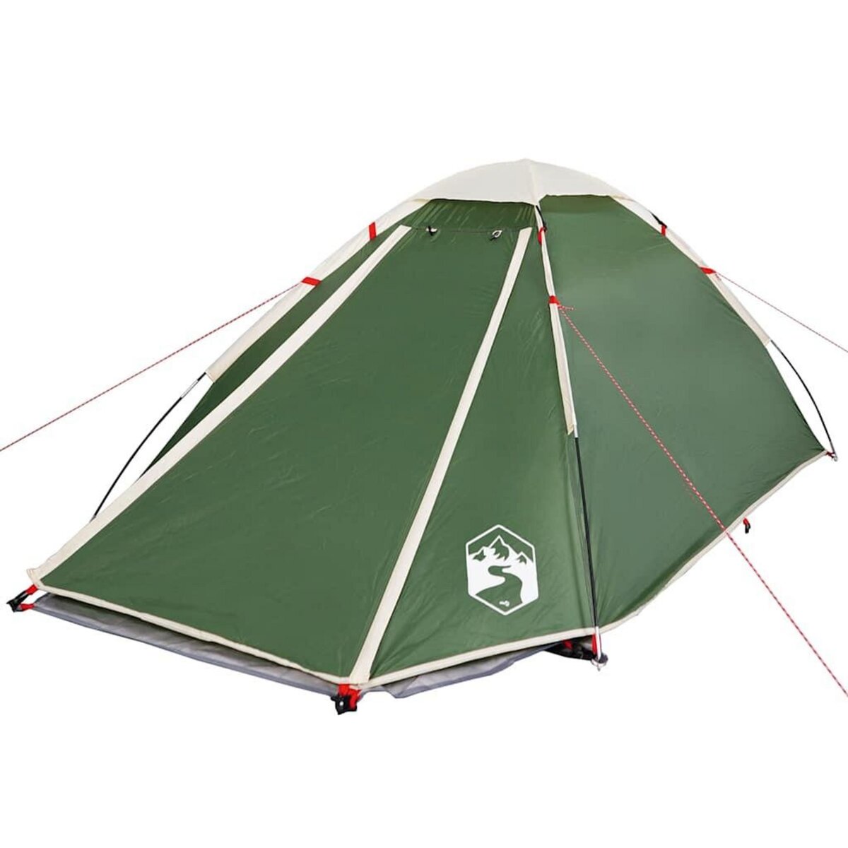 VIDAXL Tente de camping a dome 2 personne vert impermeable
