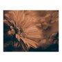 Voir la diapositive 2 : Paris Prix Papier Peint  Gerbera in Bronze