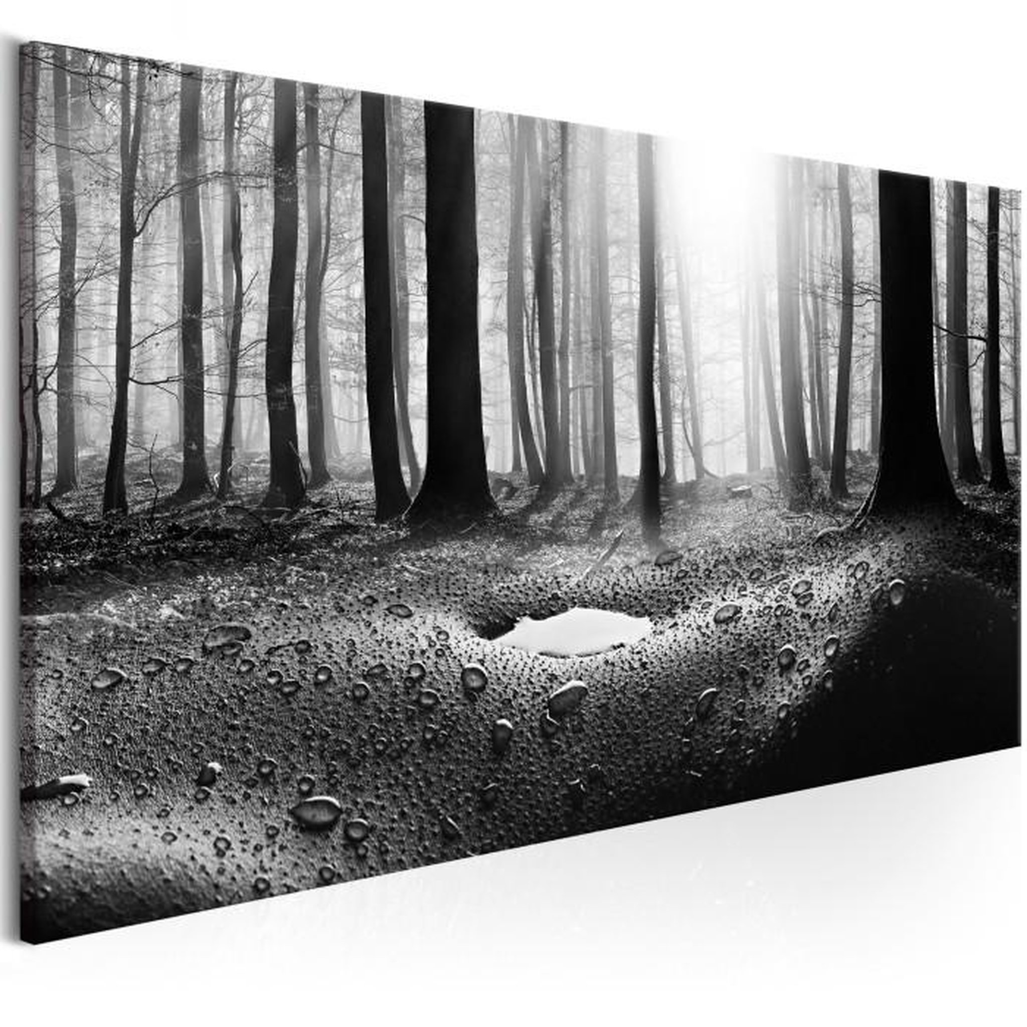 Paris Prix Tableau Imprimé  Forest After Rain Narrow. Coloris disponibles : Multicolore