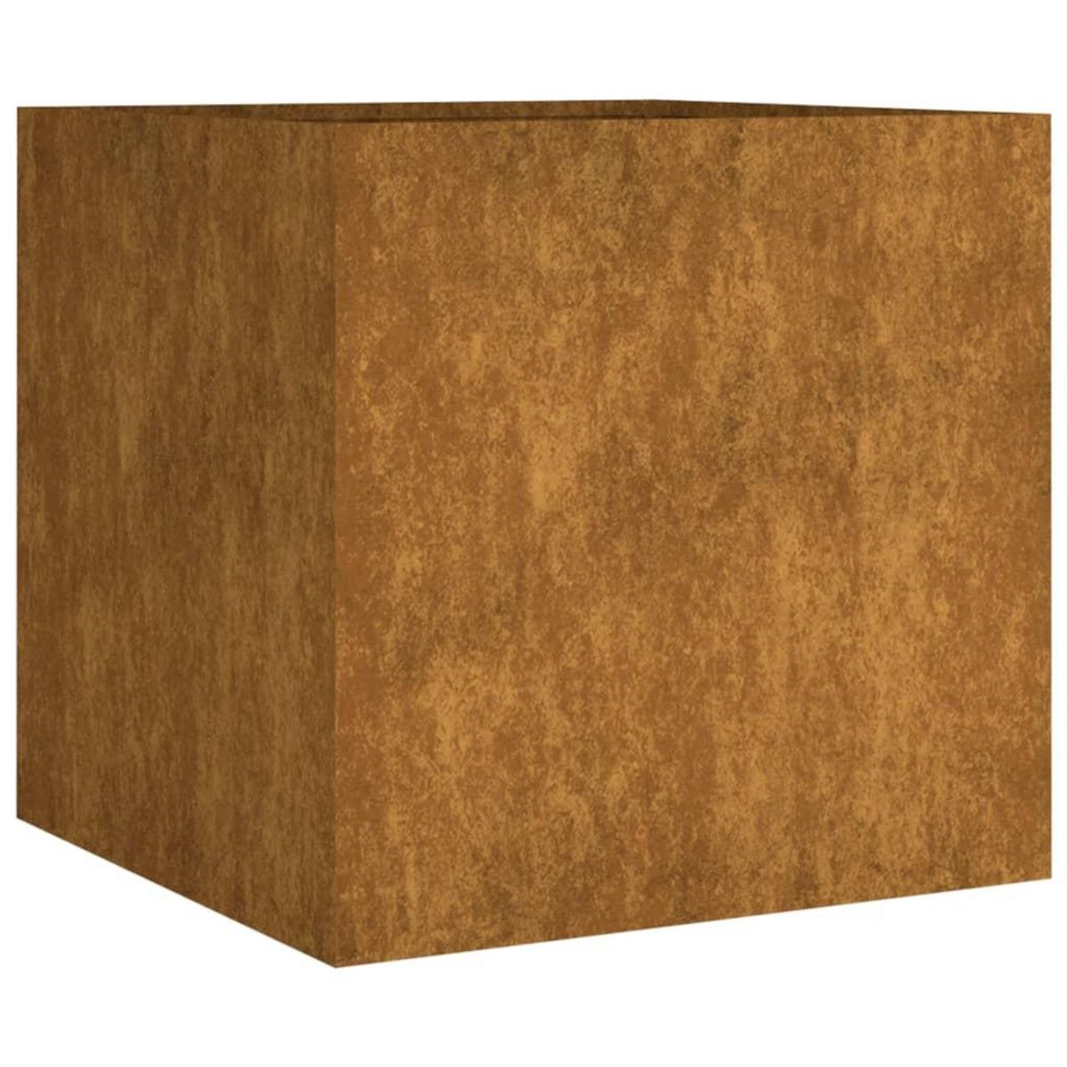 VIDAXL Jardiniere 40x41x40 cm acier corten