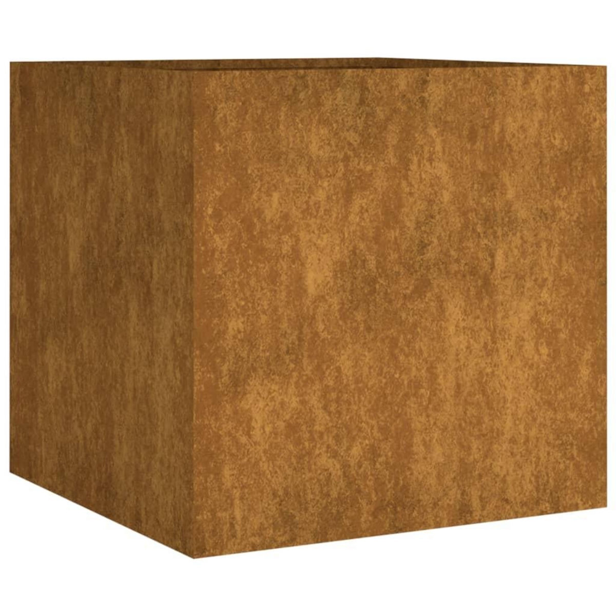 VIDAXL Jardiniere 40x41x40 cm acier corten