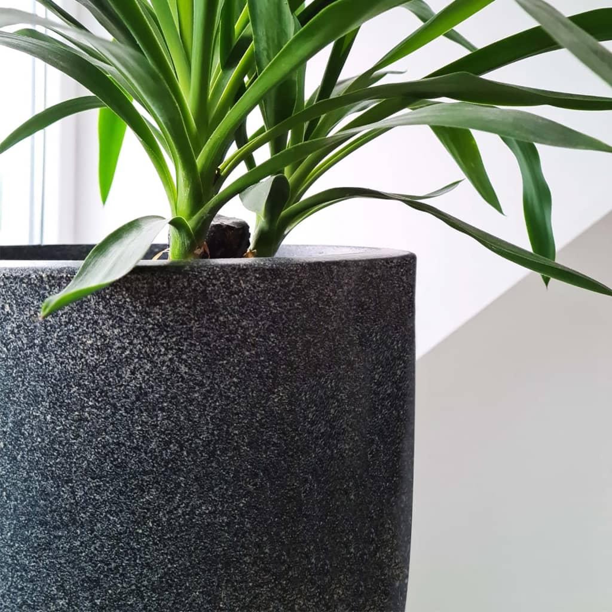 Voir la diapositive 5 : CAPI Capi Pot a fleurs Waste Smooth 43x41 cm Gris