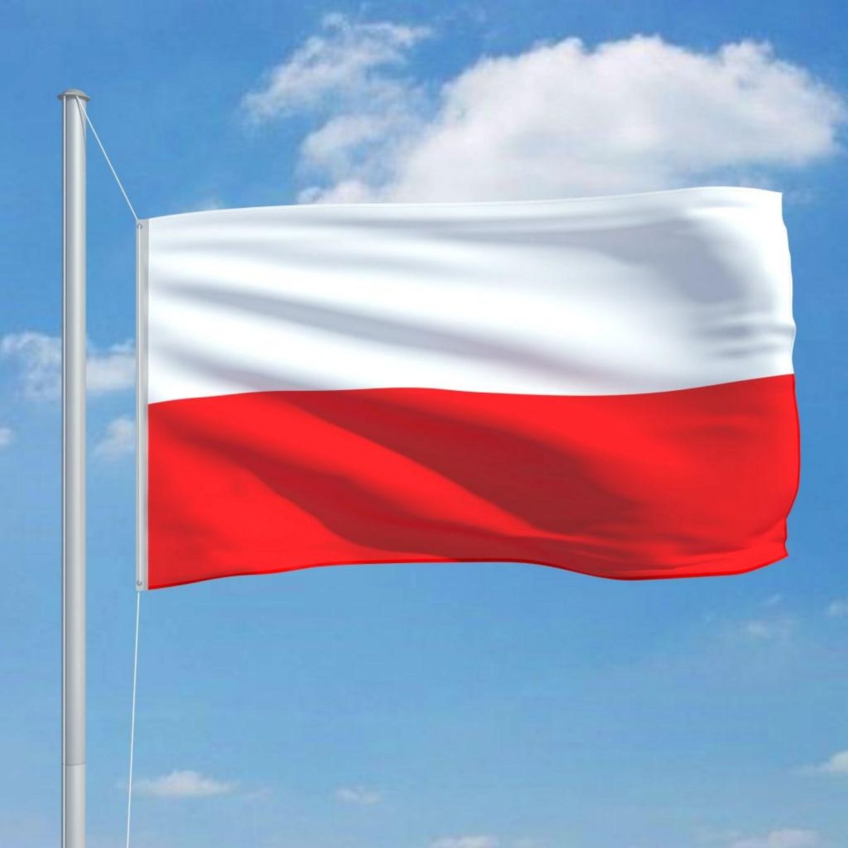 VIDAXL Drapeau Pologne 90x150 cm