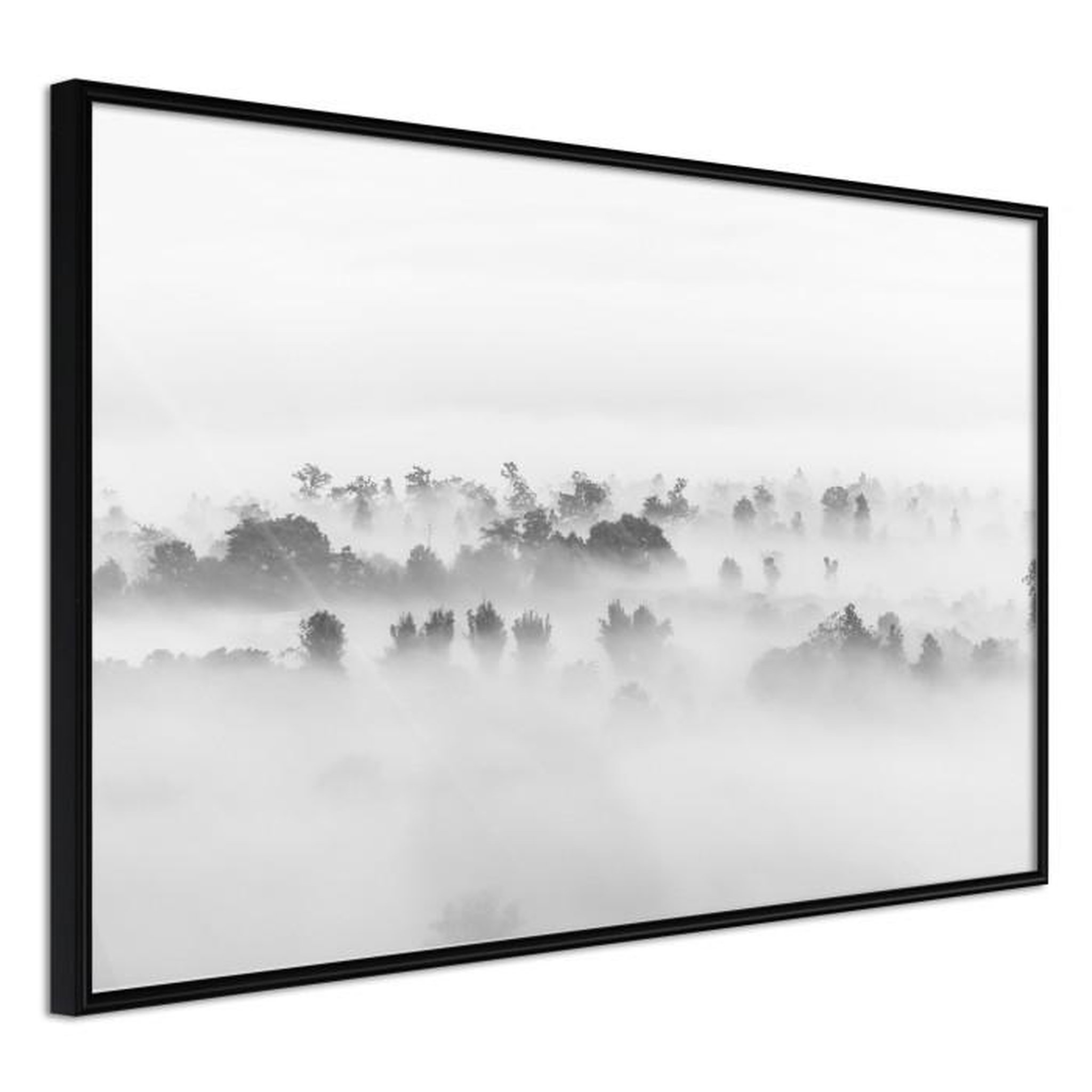 Paris Prix Affiche Murale Encadrée  Fog Over the Forest. Coloris disponibles : Jaune, Noir