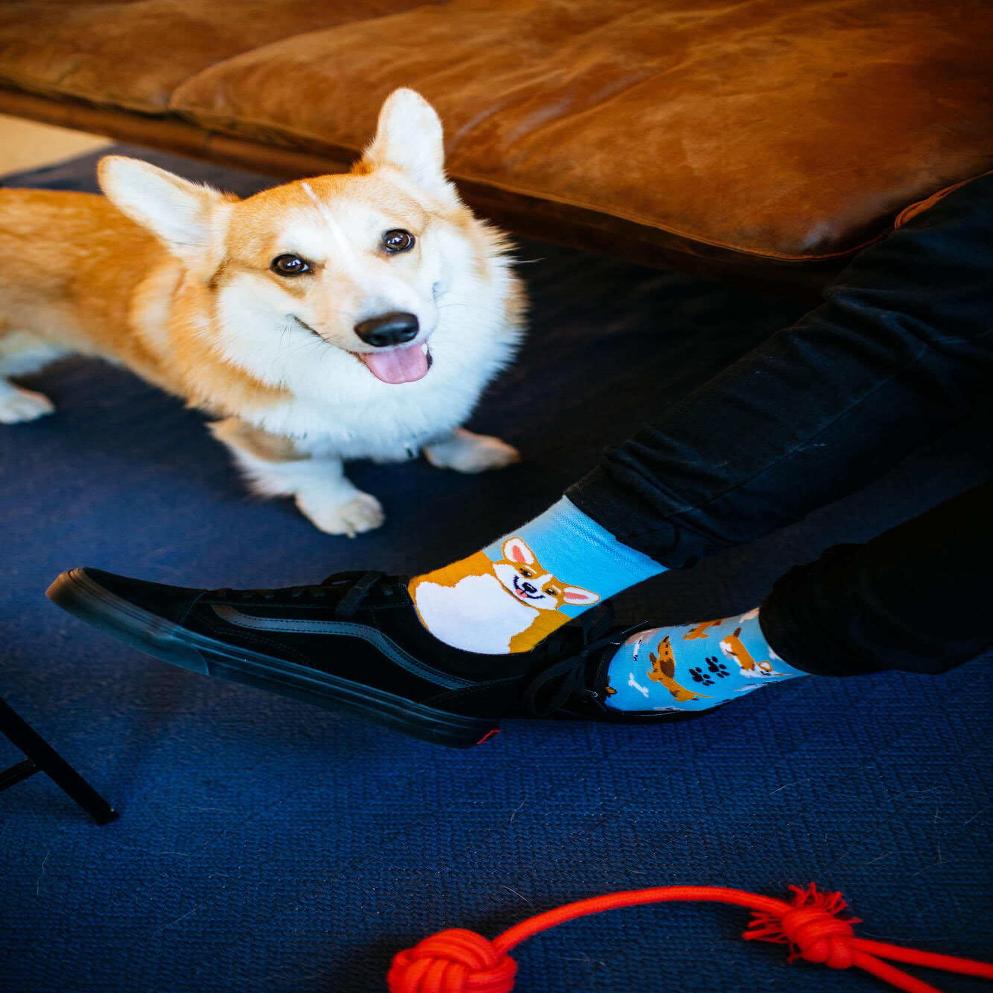 Voir la diapositive 3 : MANY MORNINGS Chaussettes corgi joueur