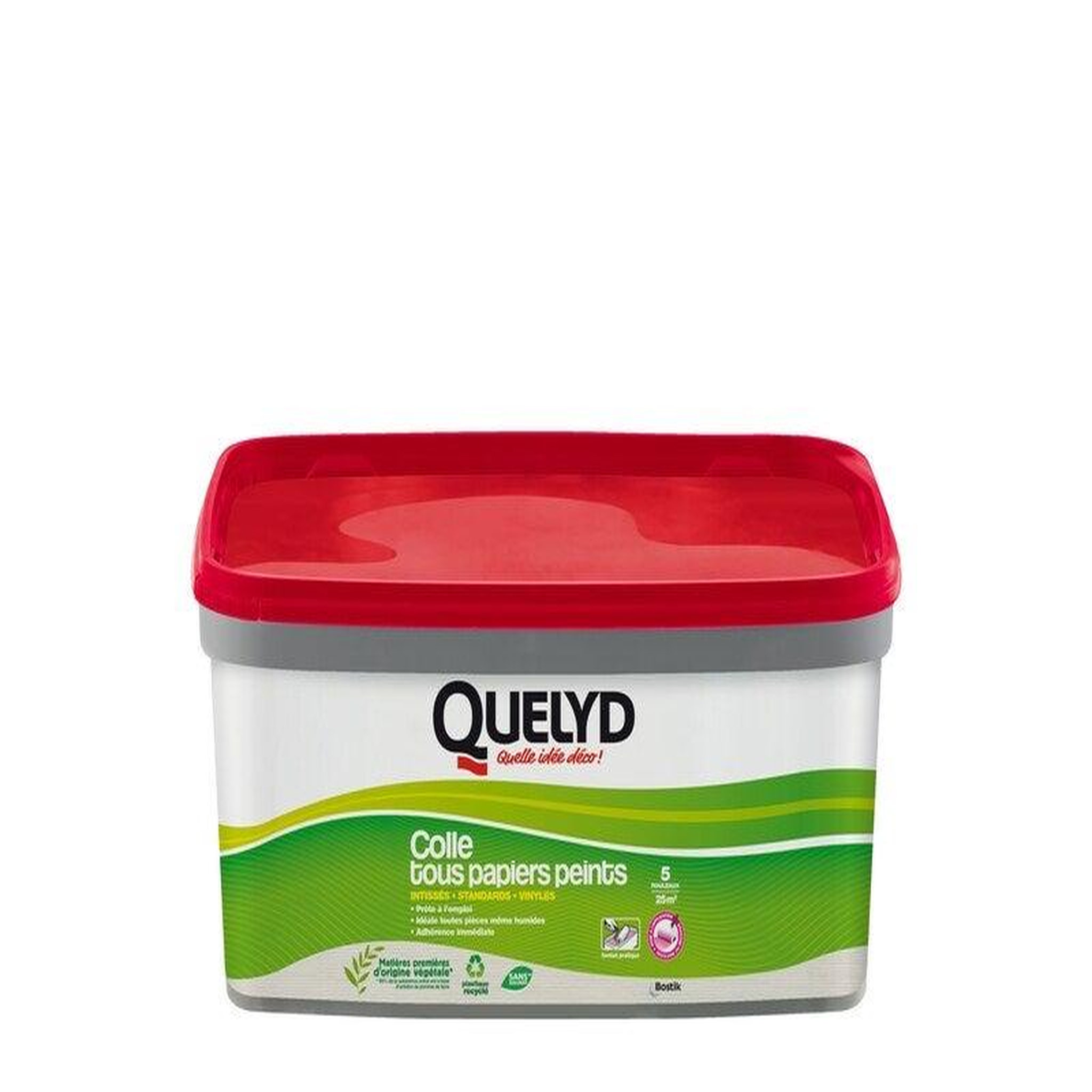QUELYD Colle Pate tous papiers peints QUELYD, 3 kg