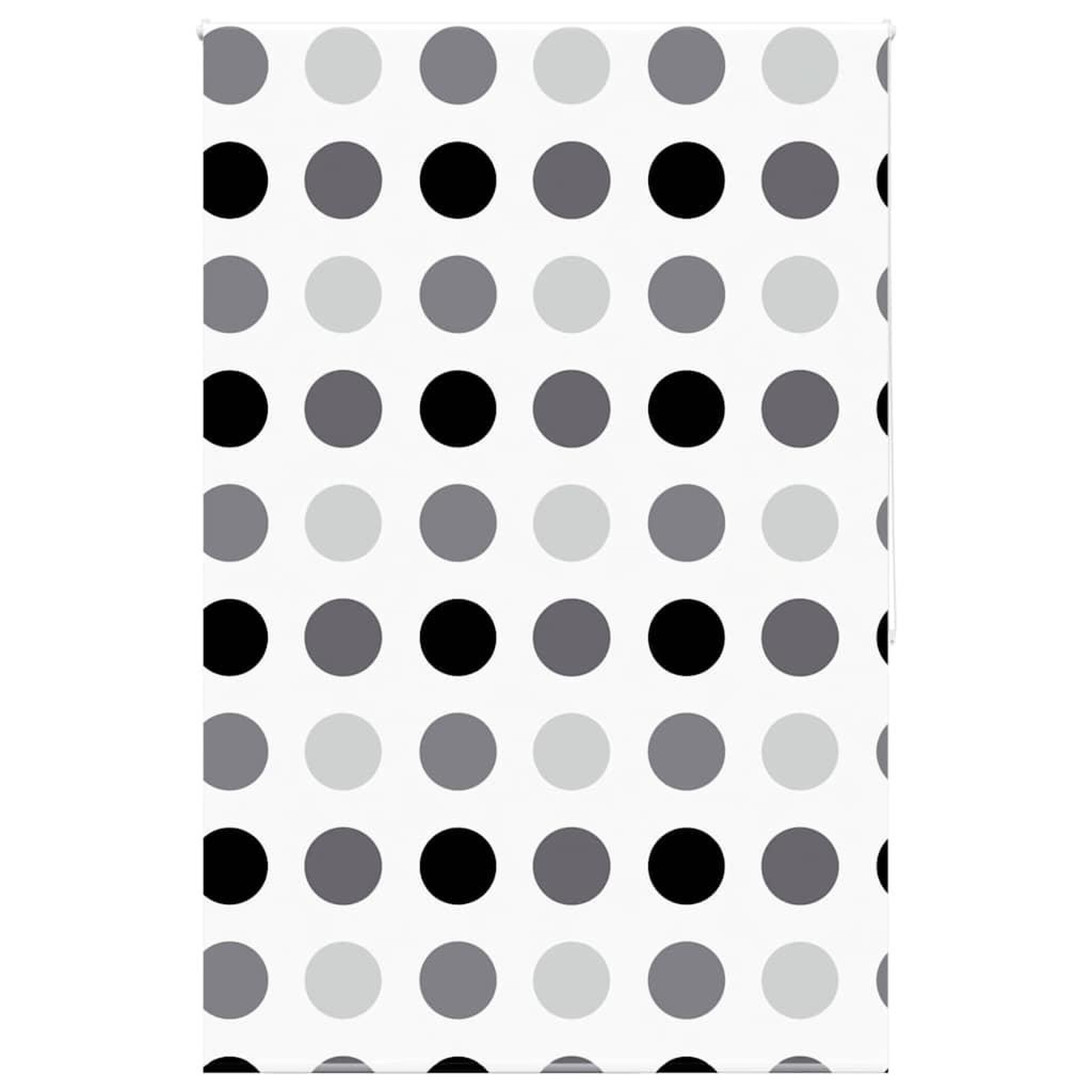 VIDAXL Store enrouleur de douche 150x240 cm largeur du tissu 146 cm