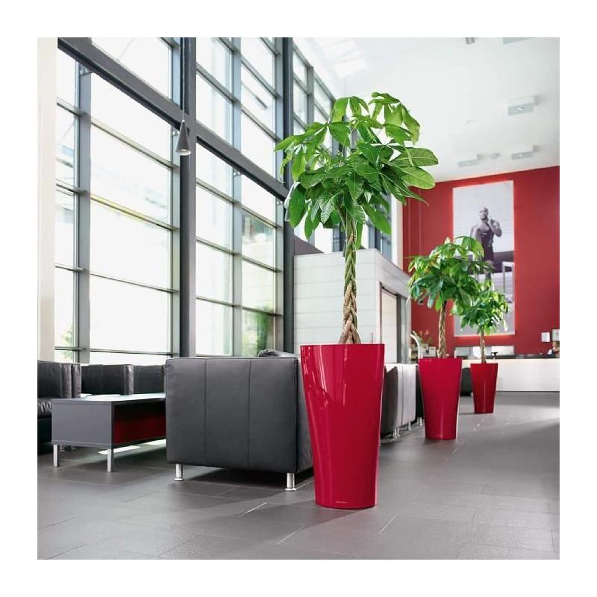 Voir la diapositive 5 : LECHUZA Delta Premium 40 - kit complet, rouge scarlet brillant 75 cm