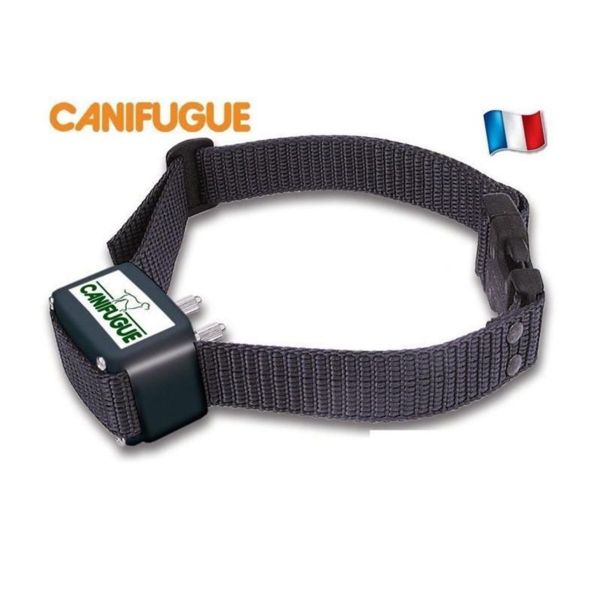 NUM'AXES CANIFUGUE Cloture et collier anti-fugue pour chien