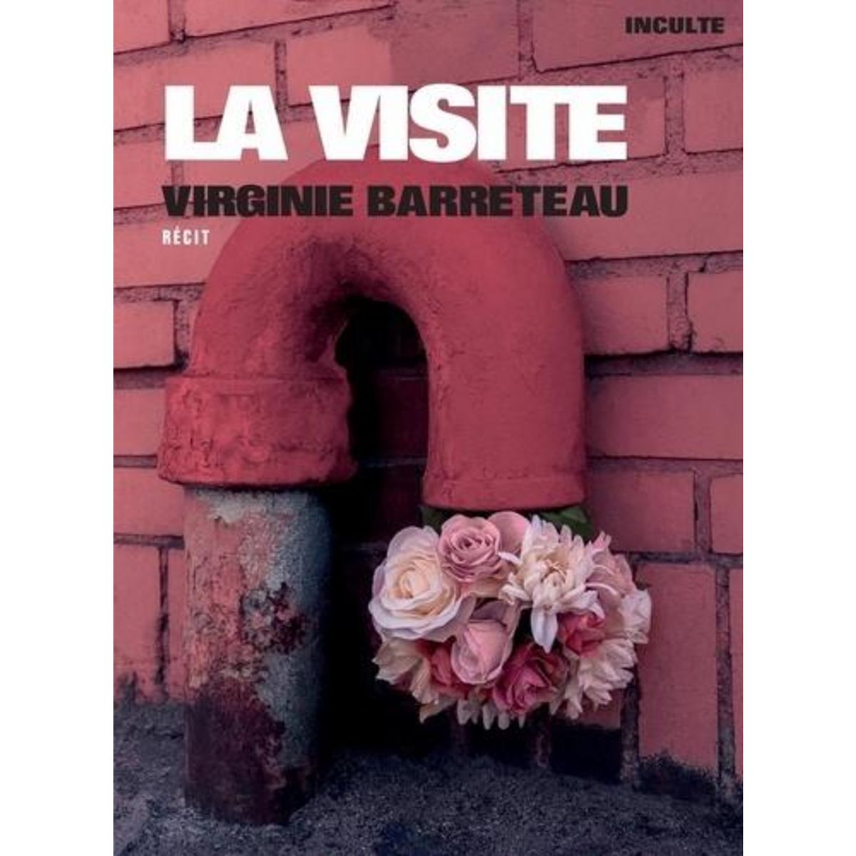 LA VISITE, Barreteau Virginie