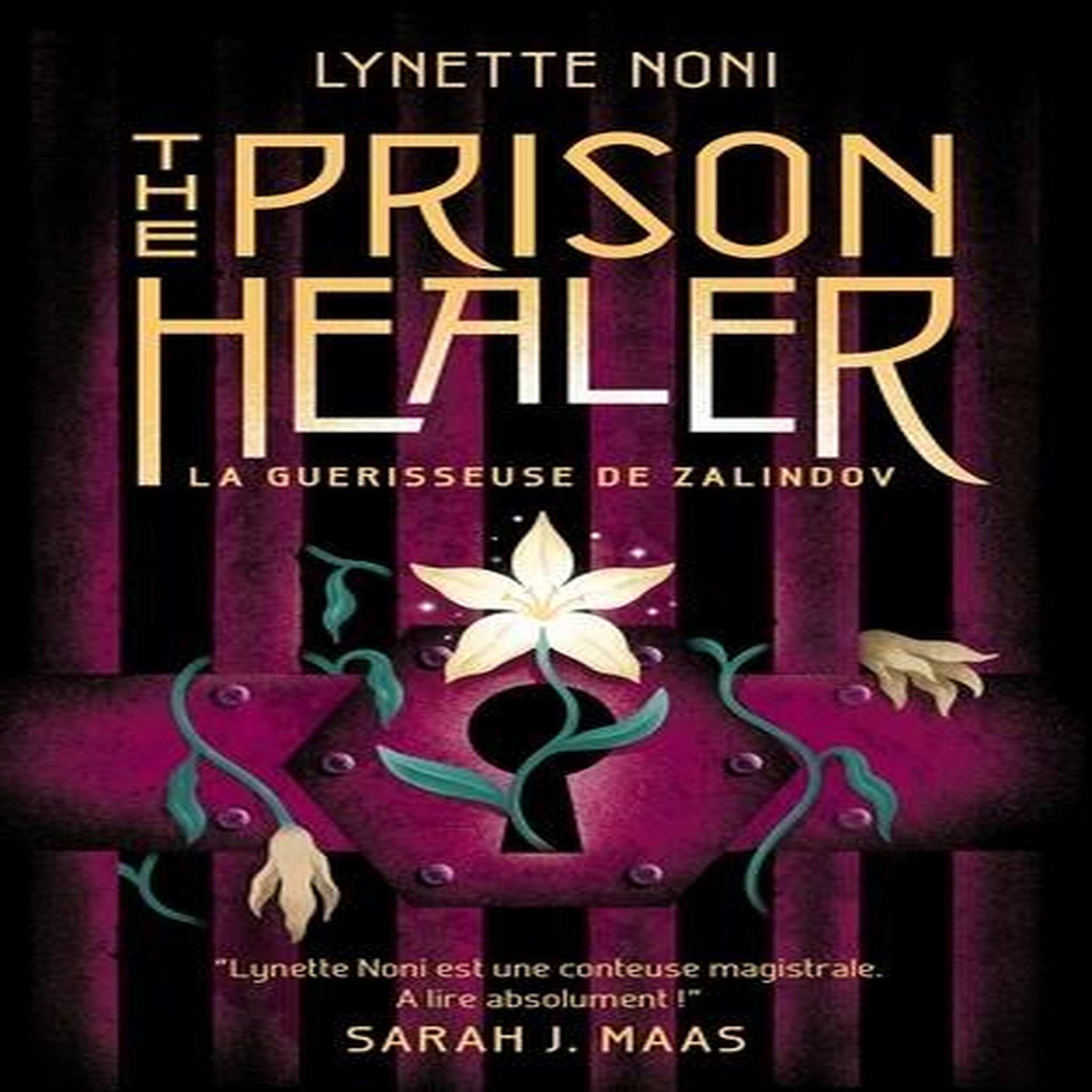 THE PRISON HEALER TOME 1 : LA GUERISSEUSE DE ZALINDOV, Noni Lynette