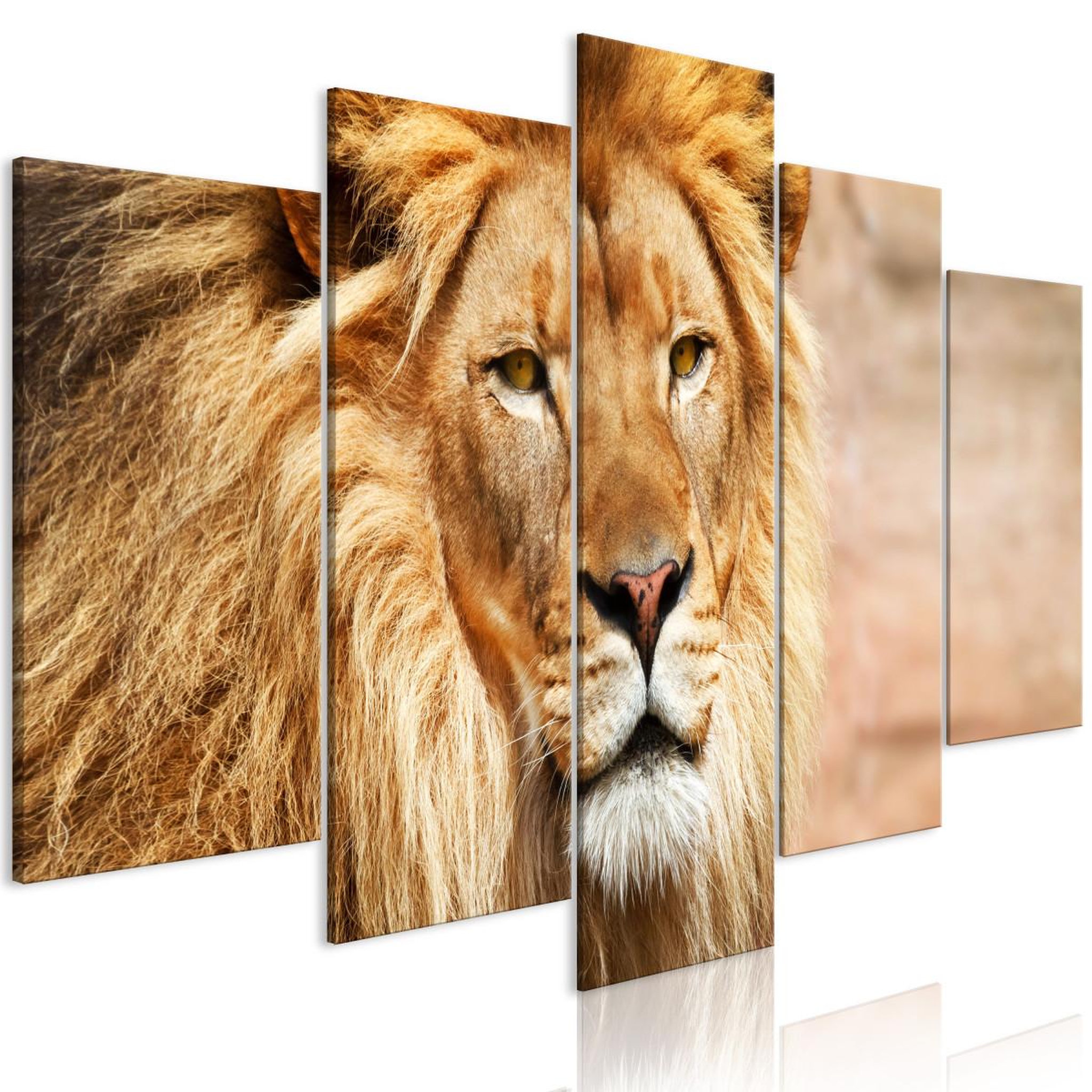 Paris Prix Tableau 5 panneaux  the king of beasts wide orange. Coloris disponibles : Multicolore