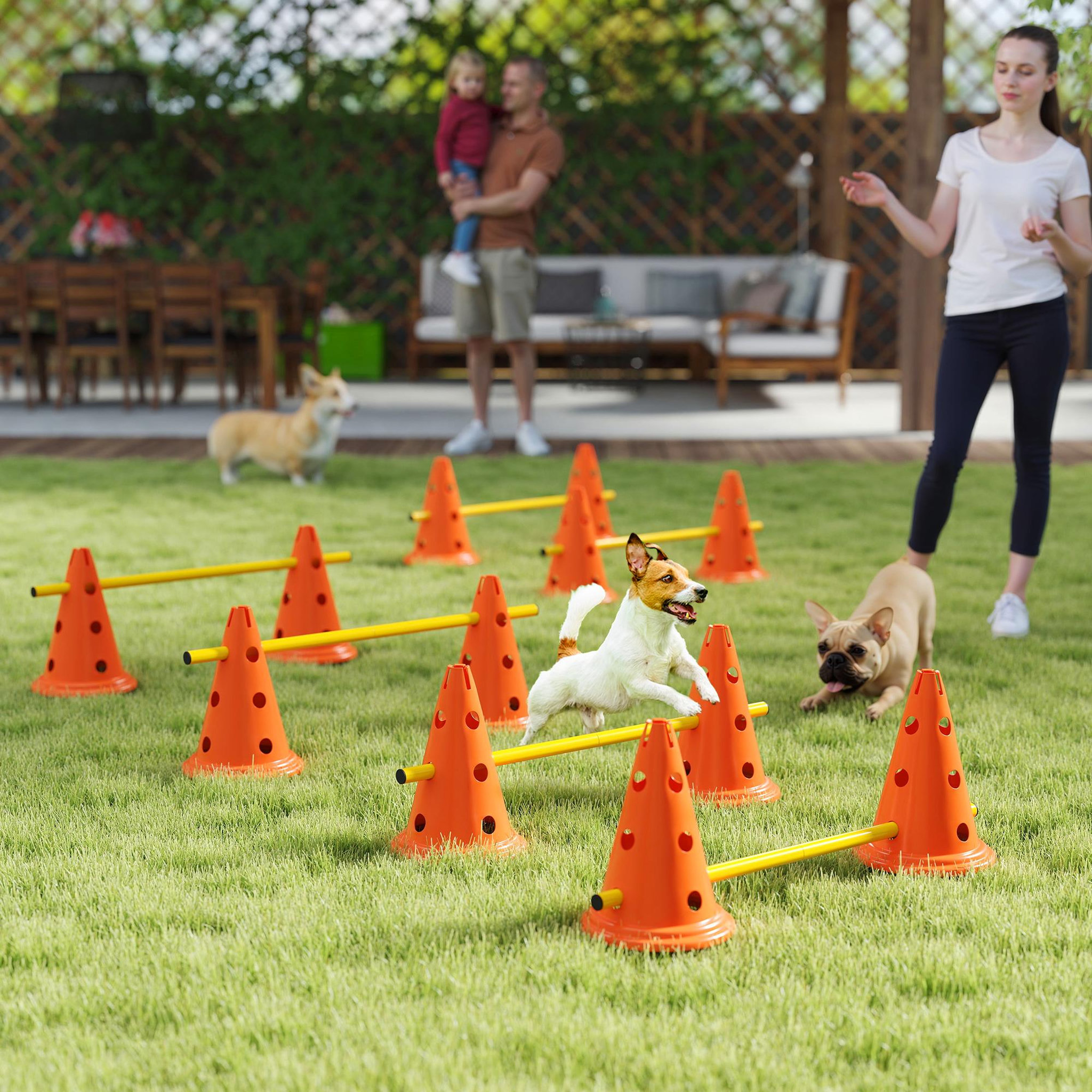 Voir la diapositive 2 : PAWHUT Set d'obstacles agility 12 cônes 6 piquets pour chien sac transport inclus