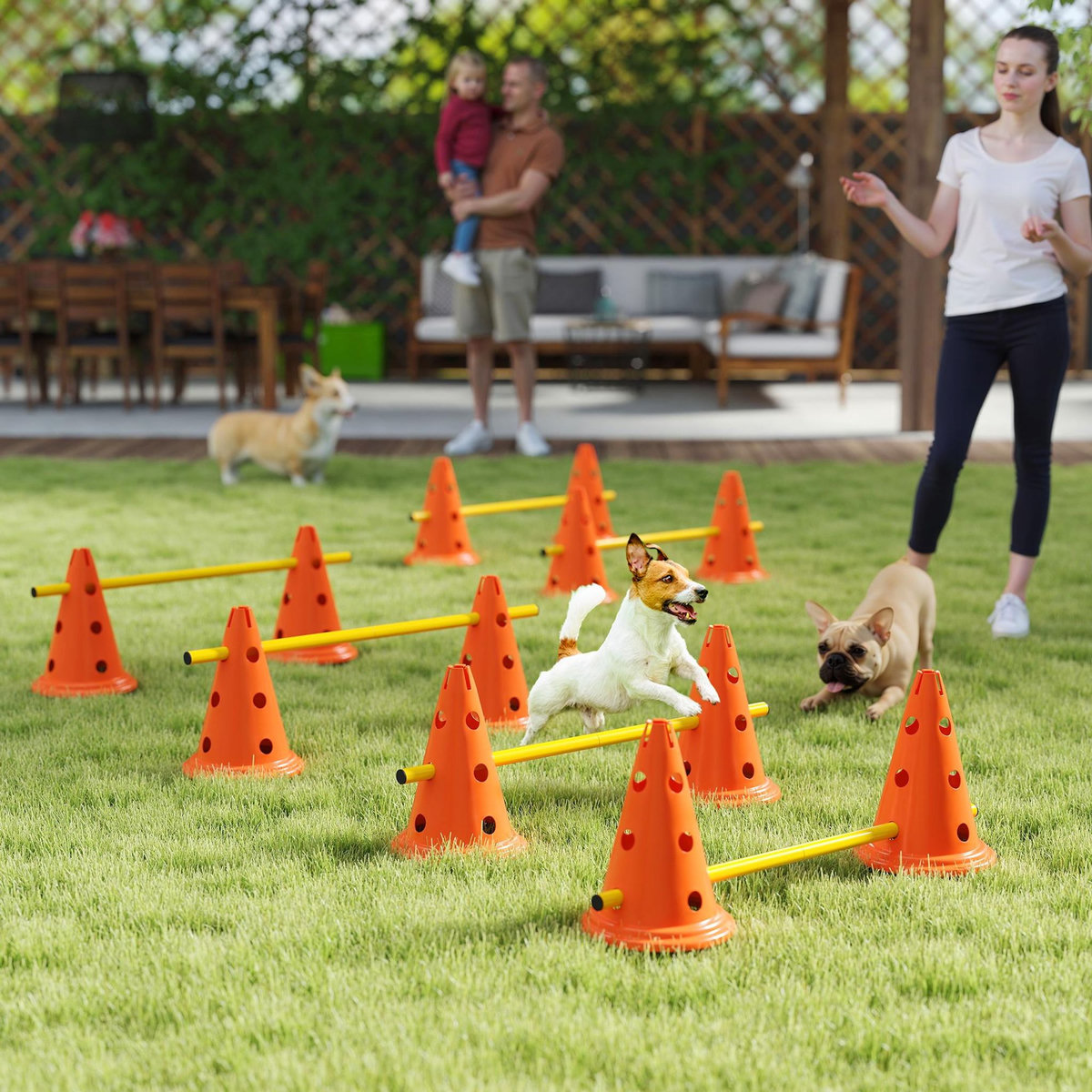 PAWHUT Set d'obstacles agility 12 cônes 6 piquets pour chien sac transport inclus