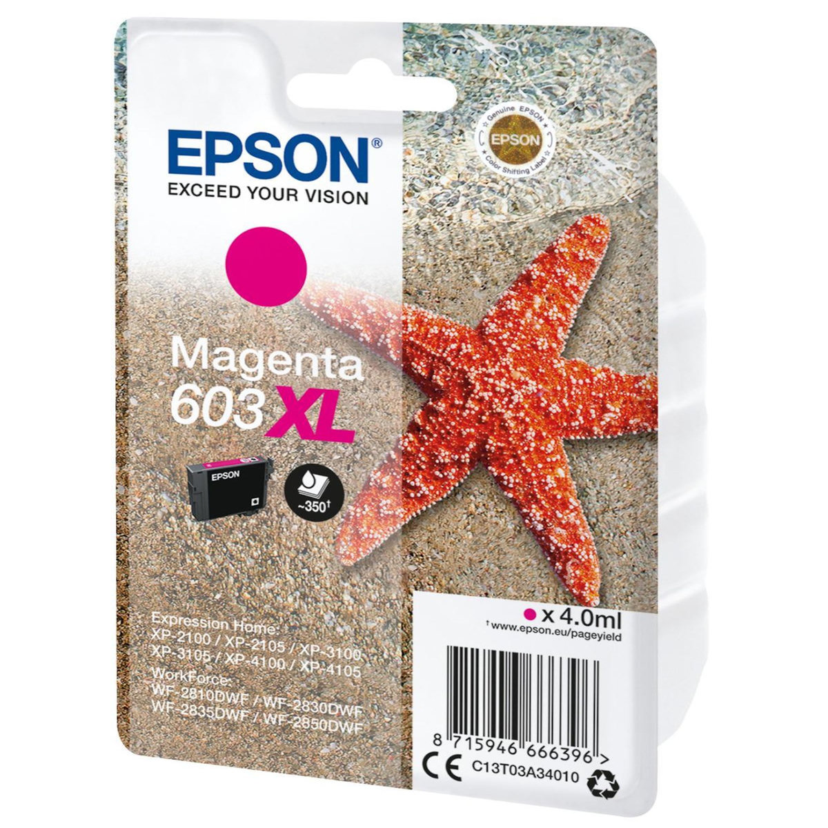 Epson CONSOMMABLE EPSON C 13 T 03 A 34010