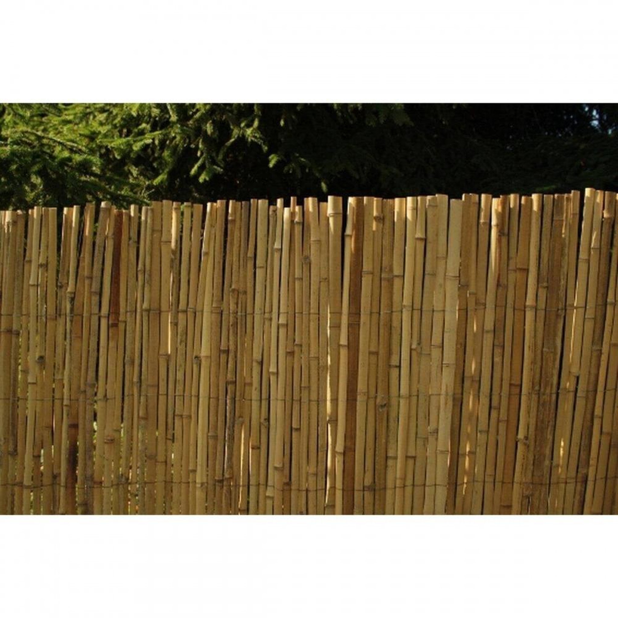 IDEAL GARDEN Canisse bambou fendu, ideal garden, h.2 x l.3 m