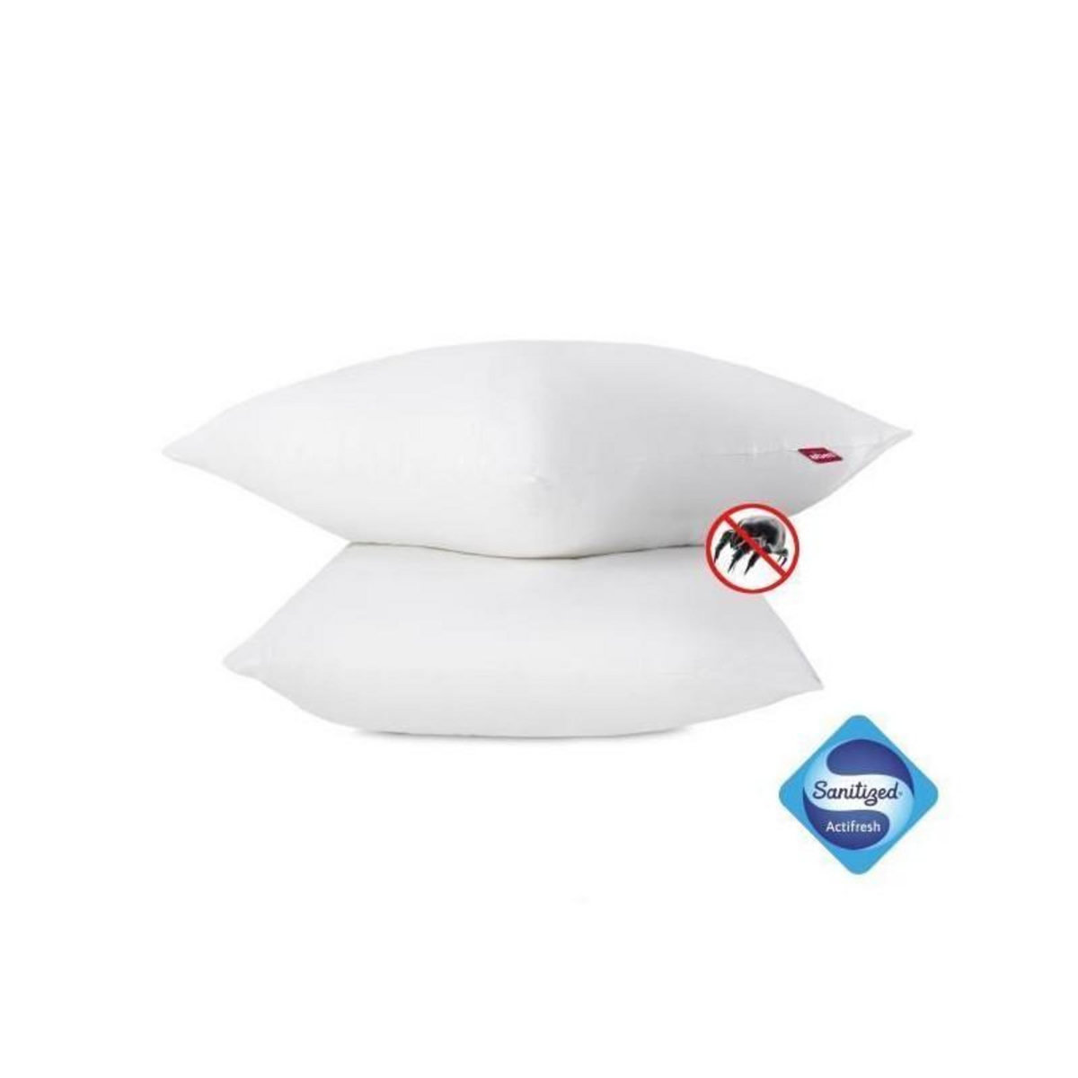 ABEIL ABEIL Lot de 2 Oreillers Anti-Acarien - 60 x 60 cm - Blanc