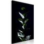 Voir la diapositive 1 : Paris Prix Tableau Imprimé  In the Moonlight