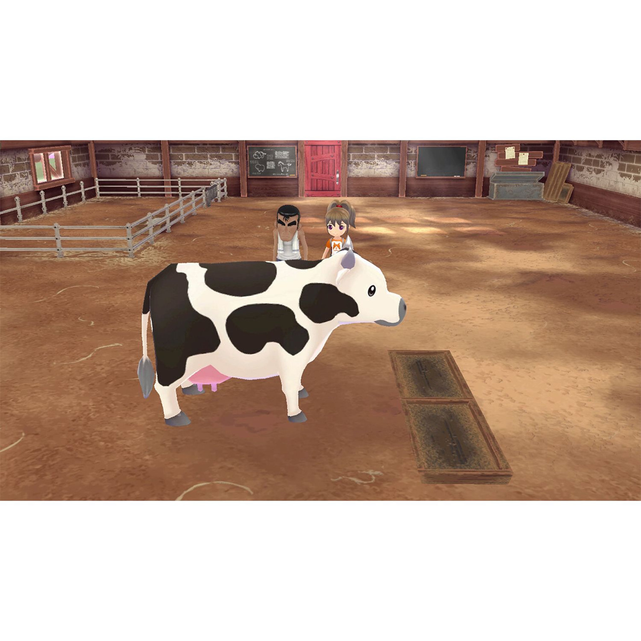 Voir la diapositive 4 : Story Of Seasons : A Wonderful Life Nintendo Switch