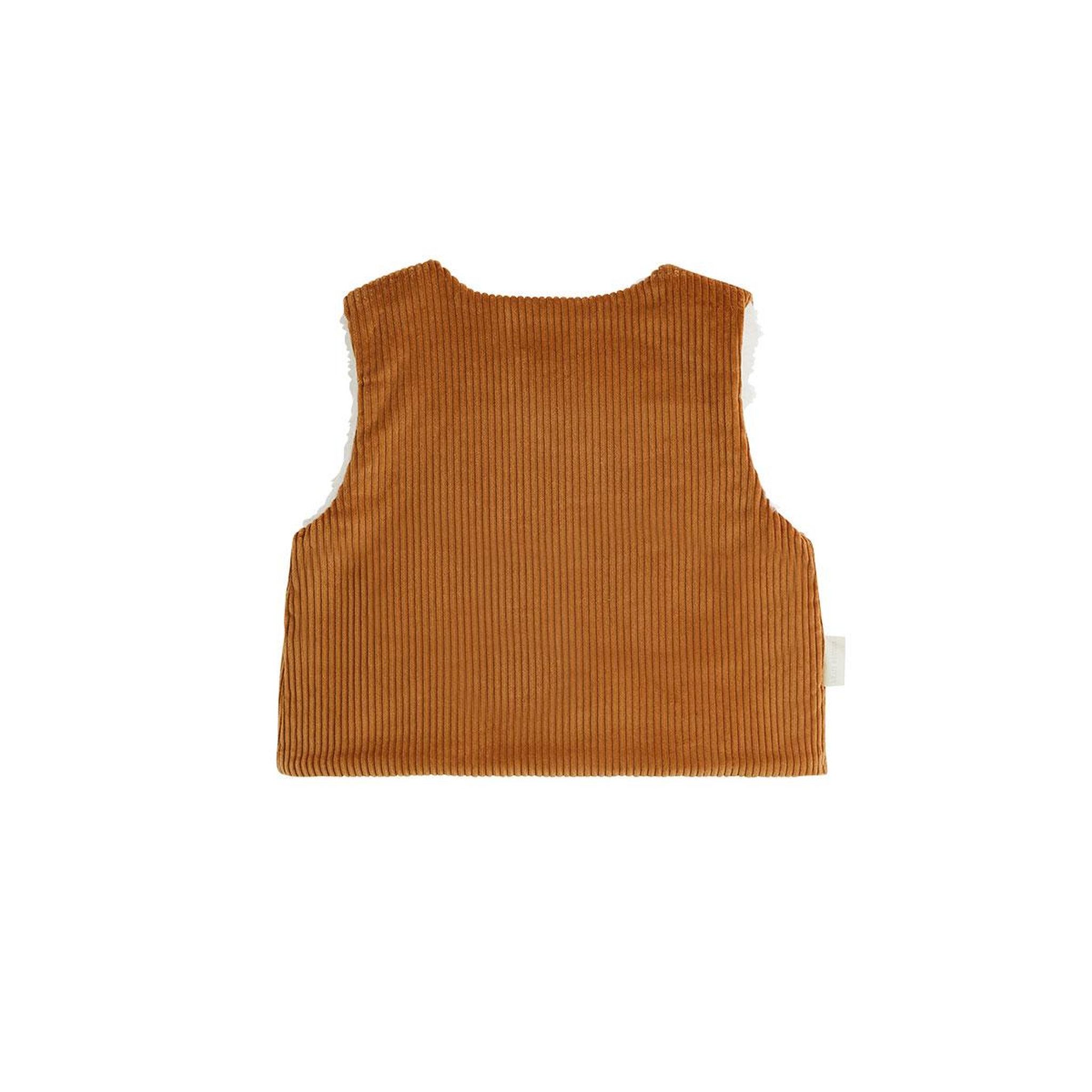 Voir la diapositive 2 : PETIT BEGUIN Veste sans manches enfant réversible en sherpa cléo