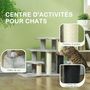 Voir la diapositive 5 : PAWHUT Arbre à chat 3 marches 3 griffoirs bande massante 2 jeux boules peluche gris clair