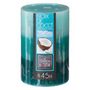 Voir la diapositive 2 : COMPTOIR DE LA BOUGIE Bougie Parfumée Ronde  Trio  310g Coco
