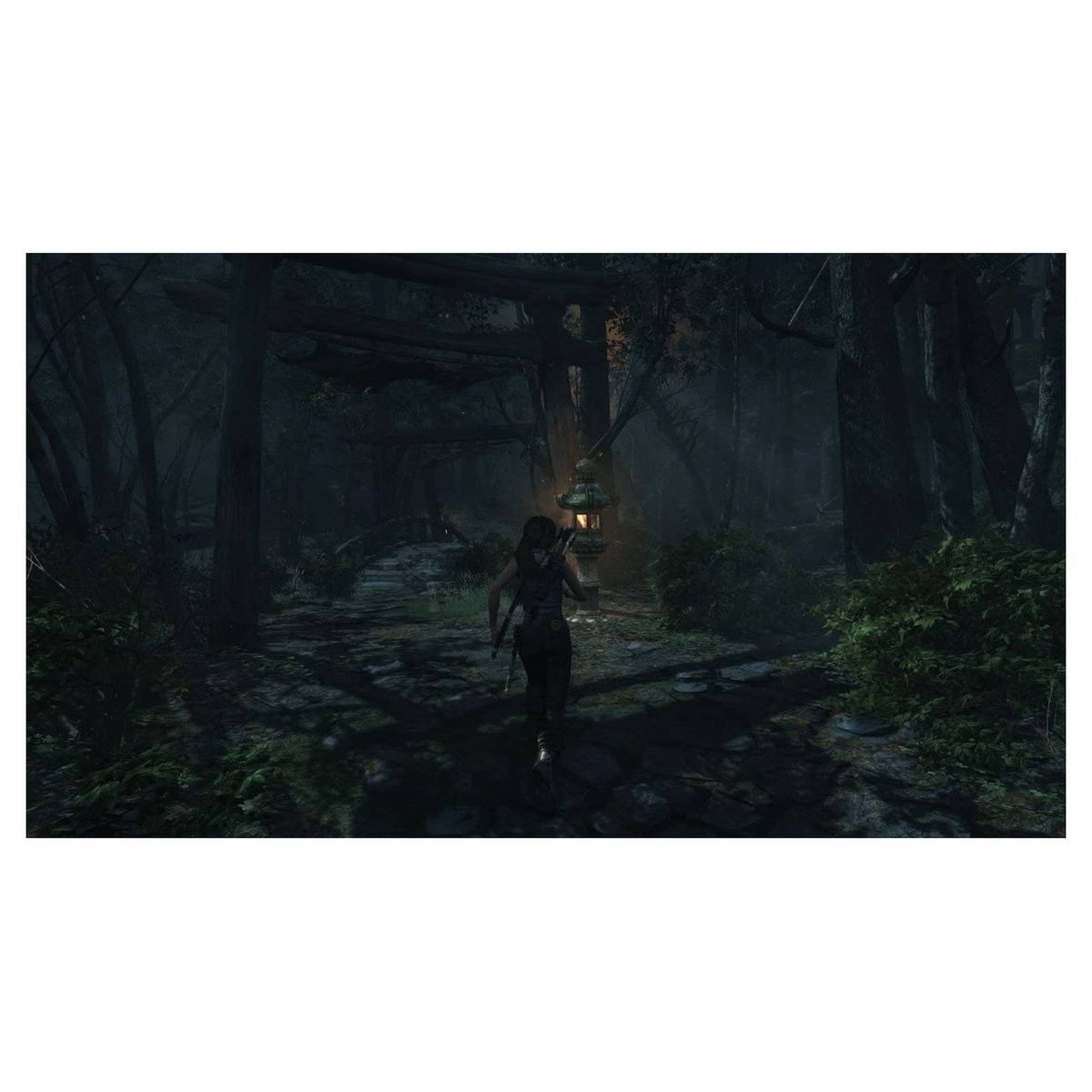 Voir la diapositive 3 : Tomb Raider The Definitive Edition PS4