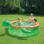 Voir la diapositive 1 :  Piscine autostable tortue ø 1,83m x51cm SUMMER WAVES