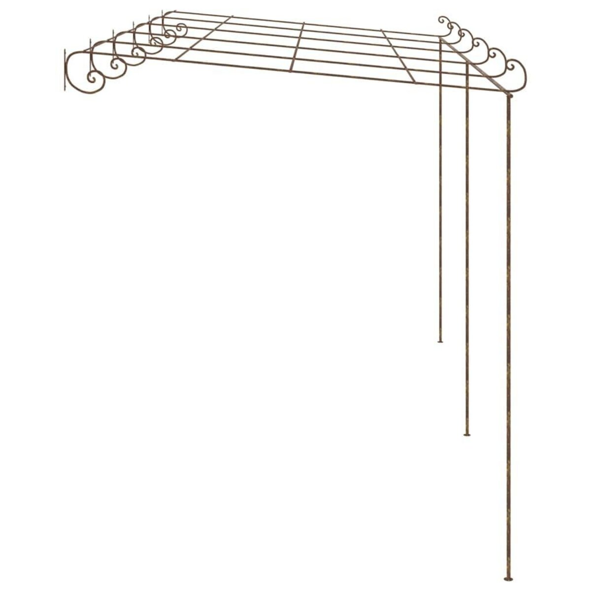 VIDAXL Pergola de jardin Marron antique 6x3x2,5 m Fer