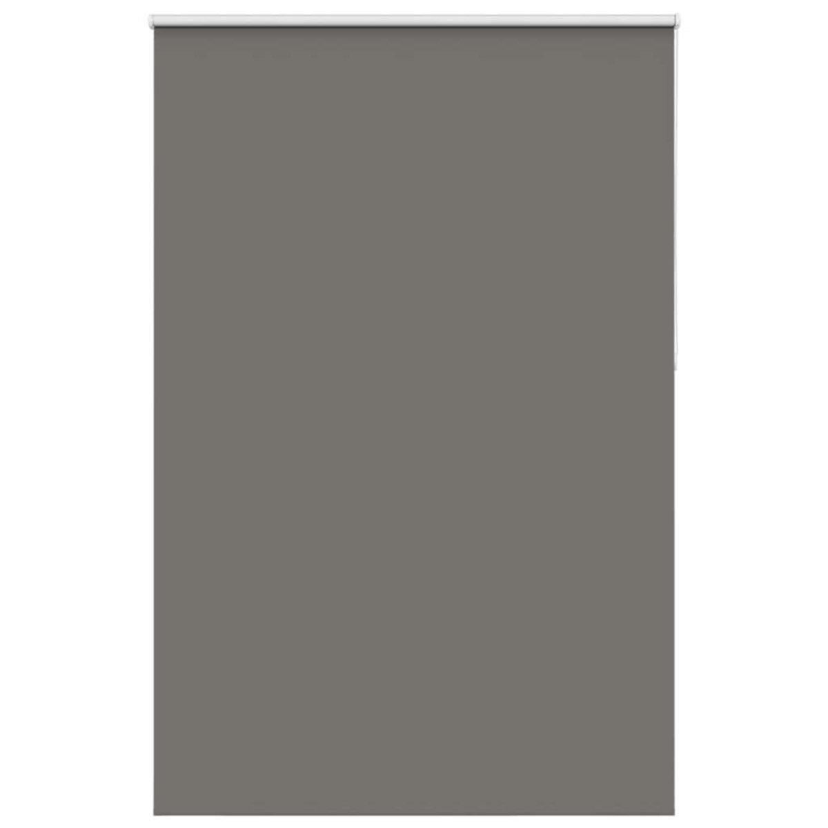 VIDAXL Store enrouleur occultant largeur du tissu 141,6 cm polyester