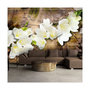 Voir la diapositive 1 : Paris Prix Papier Peint  Freesia on Wood