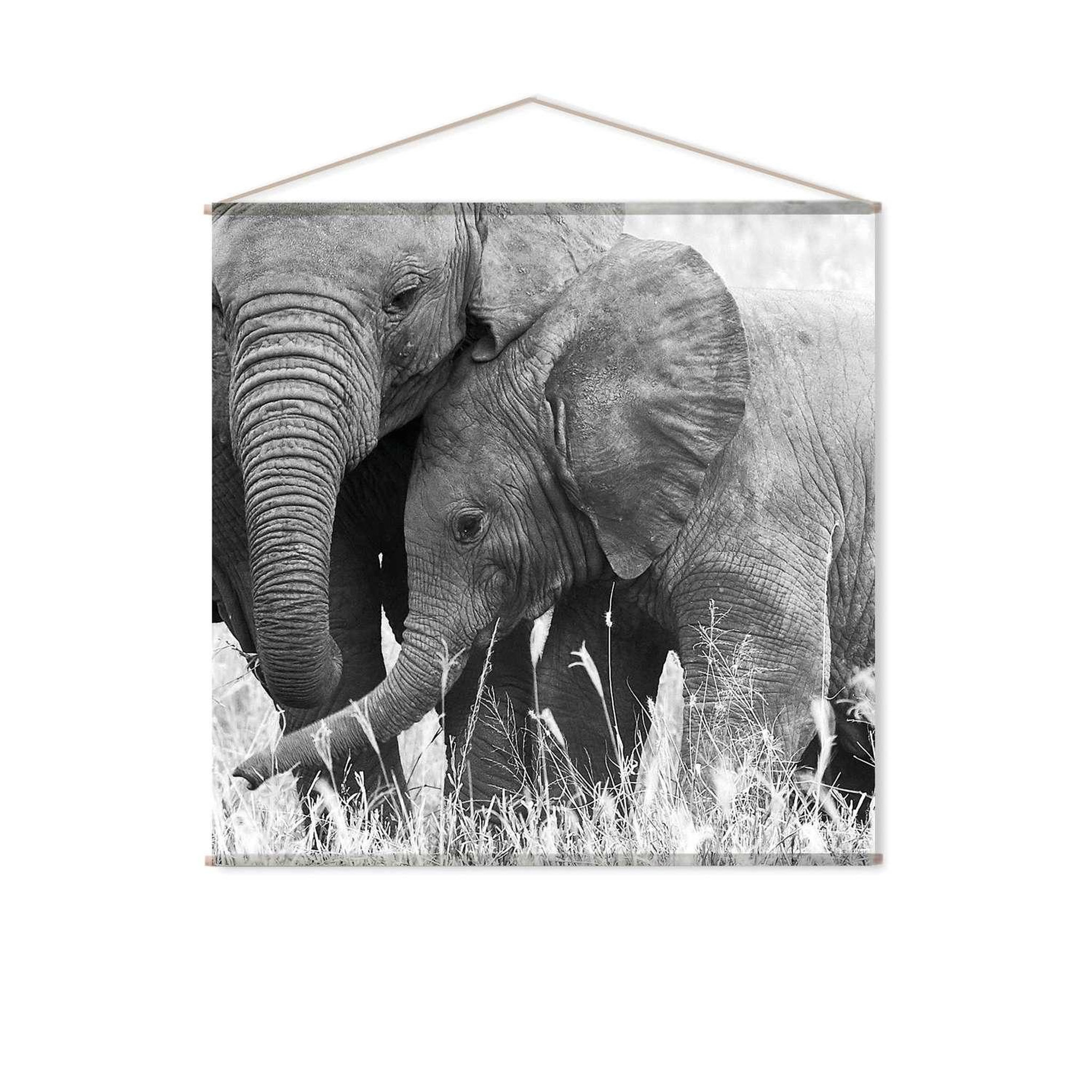 TOILINUX Toile murale imprimée éléphant - 150 x 150 cm - noir et blanc