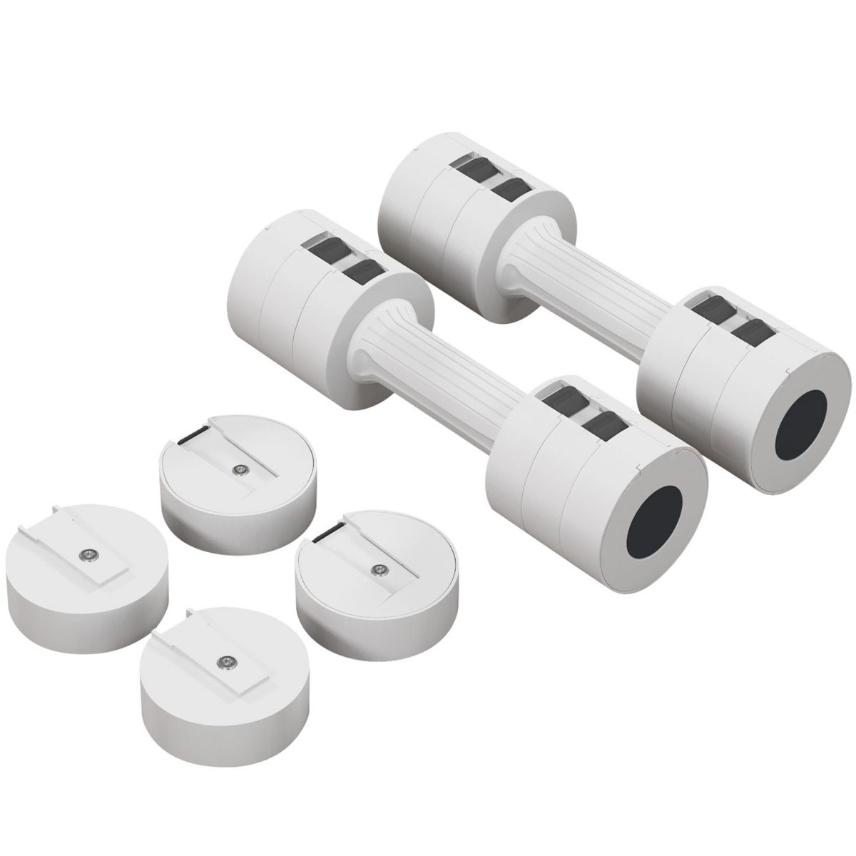 HOMCOM Set de 2 haltères ensemble d'haltères réglables poids total 5 Kg coffre rangement inclus blanc