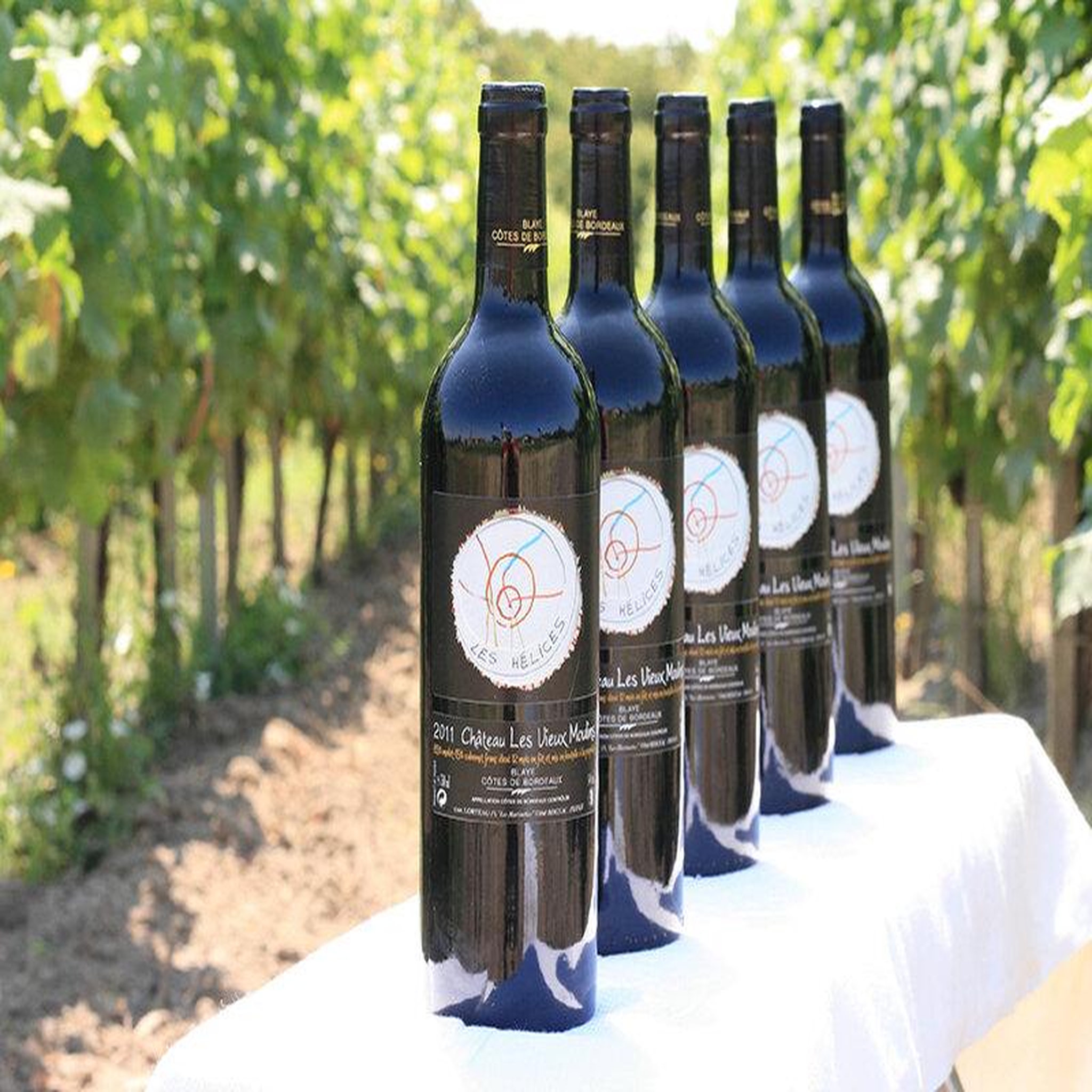 Voir la diapositive 2 : Smartbox Visite de vignoble biologique avec dégustation de 3 vins pour 2 près de blaye - coffret cadeau sport & aventure
